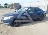 2009 Honda Accord фото