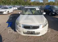 2009 Honda Accord фото