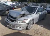 2009 Honda Accord photo