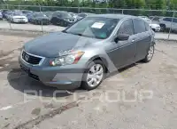 2009 Honda Accord фото