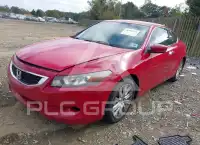 2009 Honda Accord photo
