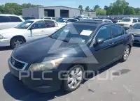 2009 Honda Accord фото