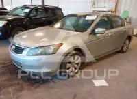 2009 Honda Accord фото