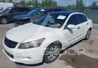 2009 Honda Accord фото