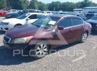 2009 Honda Accord фото