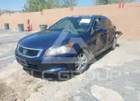 2009 Honda Accord фото