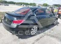 2009 Honda Accord фото
