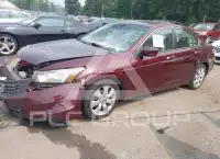 2009 Honda Accord фото