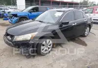 2009 Honda Accord фото