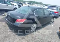 2009 Honda Accord фото