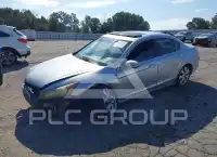 2009 Honda Accord фото
