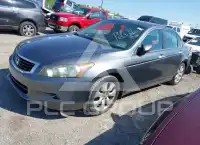 2009 Honda Accord фото