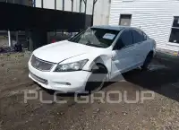 2009 Honda Accord photo