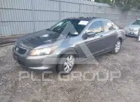 2009 Honda Accord фото