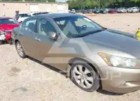 2009 Honda Accord фото