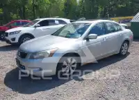 2009 Honda Accord photo