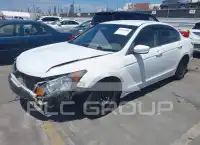 2009 Honda Accord фото
