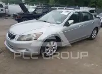2009 Honda Accord фото