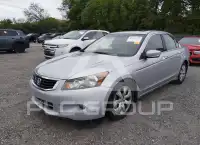 2009 Honda Accord фото