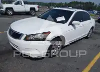 2009 Honda Accord фото