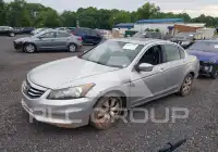 2009 Honda Accord фото
