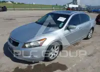2009 Honda Accord фото
