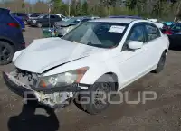 2009 Honda Accord фото