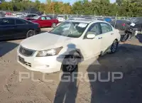 2009 Honda Accord фото
