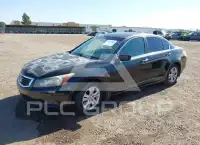 2009 Honda Accord фото