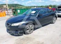 2009 Honda Accord фото