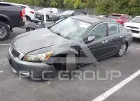 2009 Honda Accord фото
