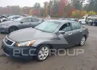 2009 Honda Accord фото