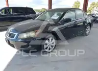 2009 Honda Accord photo