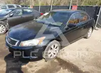 2009 Honda Accord фото