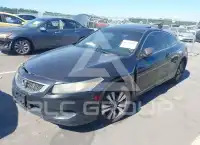 2009 Honda Accord photo