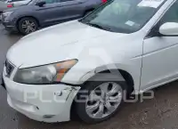 2009 Honda Accord фото