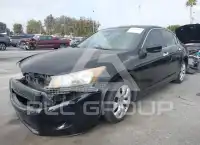 2009 Honda Accord фото