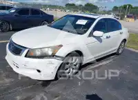 2009 Honda Accord photo