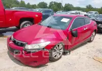 2009 Honda Accord фото