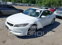 2009 Honda Accord фото