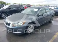 2009 Honda Accord photo