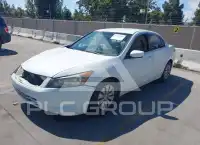 2009 Honda Accord фото