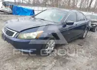 2009 Honda Accord фото