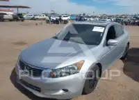 2009 Honda Accord фото