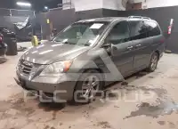 2009 Honda ODYSSEY photo
