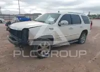 2009 Cadillac ESCALADE фото