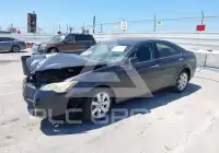 2009 Lexus ES350 фото