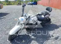 2009 Yamaha XVS1100 фото