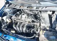 2009 Toyota COROLLA photo