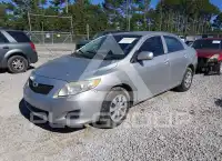 2009 Toyota COROLLA фото
